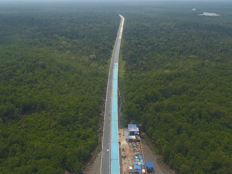 Web Temburong CC4 2