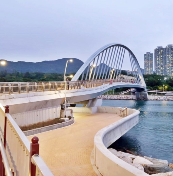 Web Tseung Kwan O 3