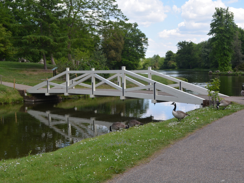 Web Woollett Bridge 1
